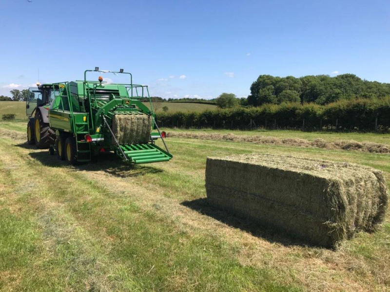 Hay and Straw Sales Rookery Farms